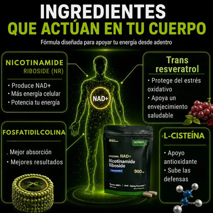 Nadvance™: Si tu cuerpo ya no responde igual, recupera energía con 2 cápsulas al día